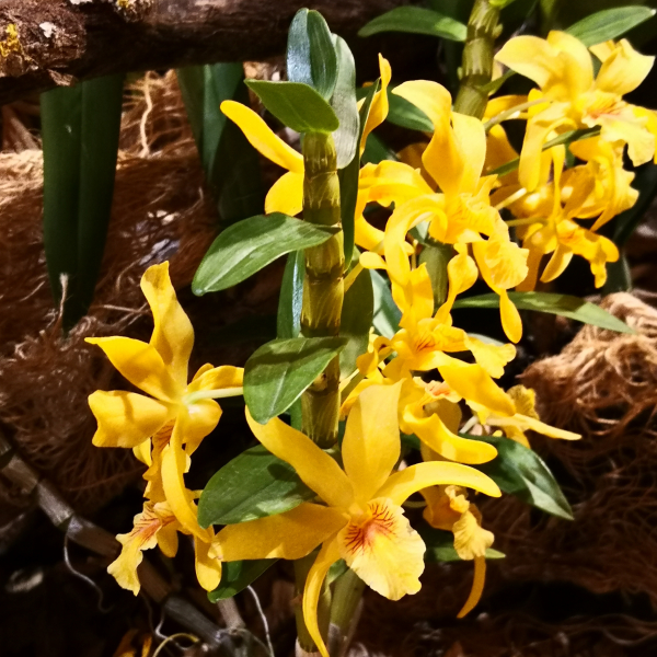Fontfroide_2022